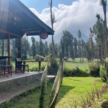 Gangga Guest House Bromo Ngadisari Ngoại thất bức ảnh